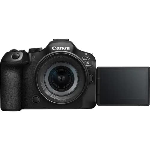 Canon EOS R6 III + 24-105mm f/4-7.1 - фото 3