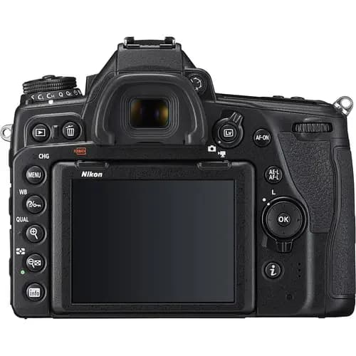 Nikon D780 + AF-S NIKKOR 24-120mm f/4G ED VR - фото 3